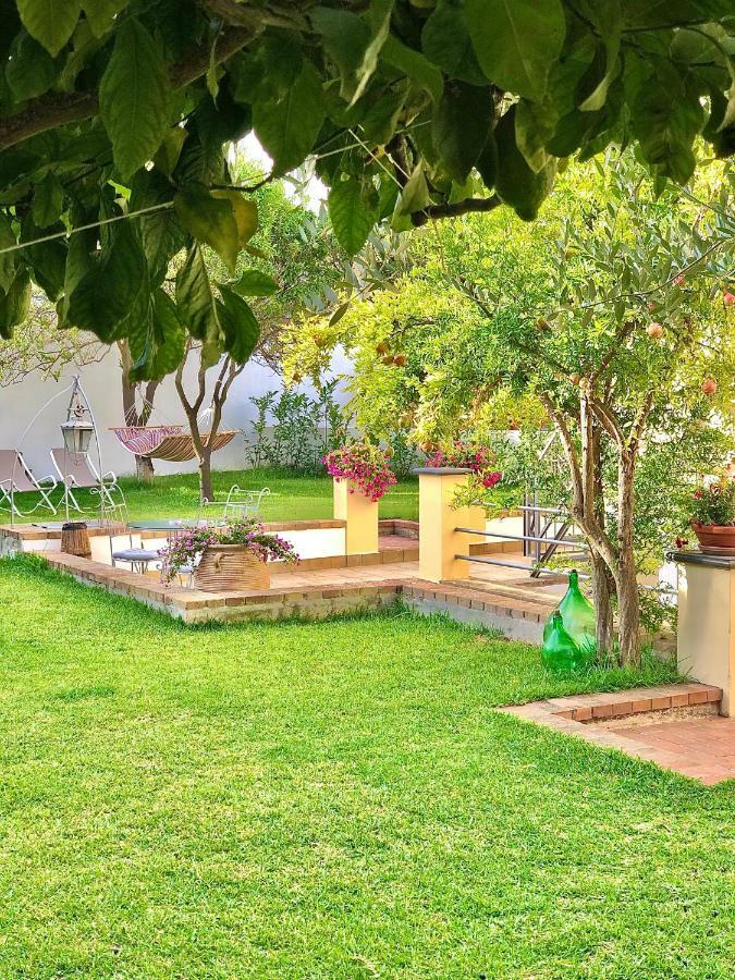 פרוסידה B&B Prochytea מראה חיצוני תמונה